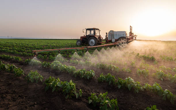 Best Mosquito Control Services  in Victoria, MN