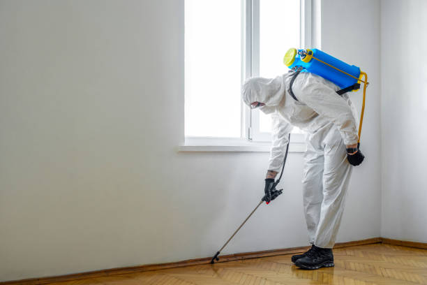 Best Pest Control for Homes  in Victoria, MN