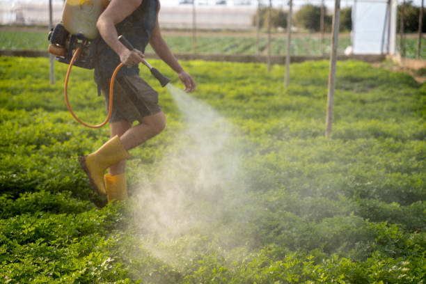 Pest Control for Restaurants in Victoria, MN