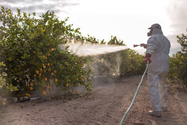 Best Pest Control for Businesses  in Victoria, MN
